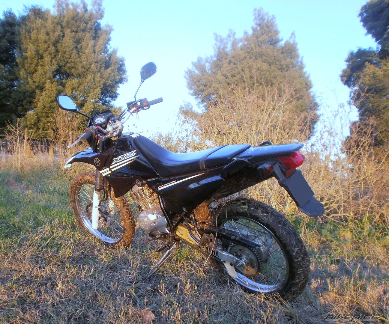 Photo 2788068