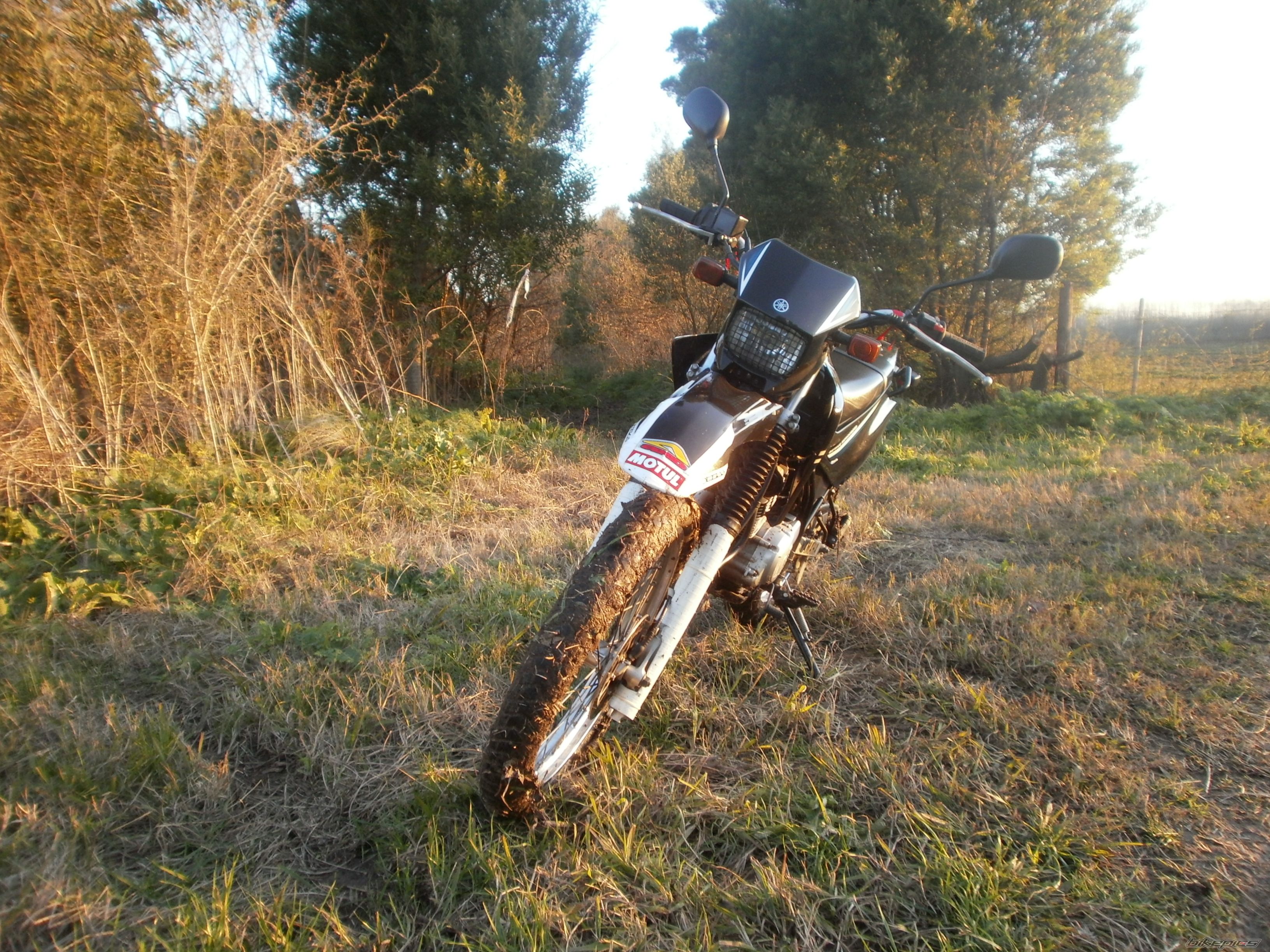 Photo 2788069