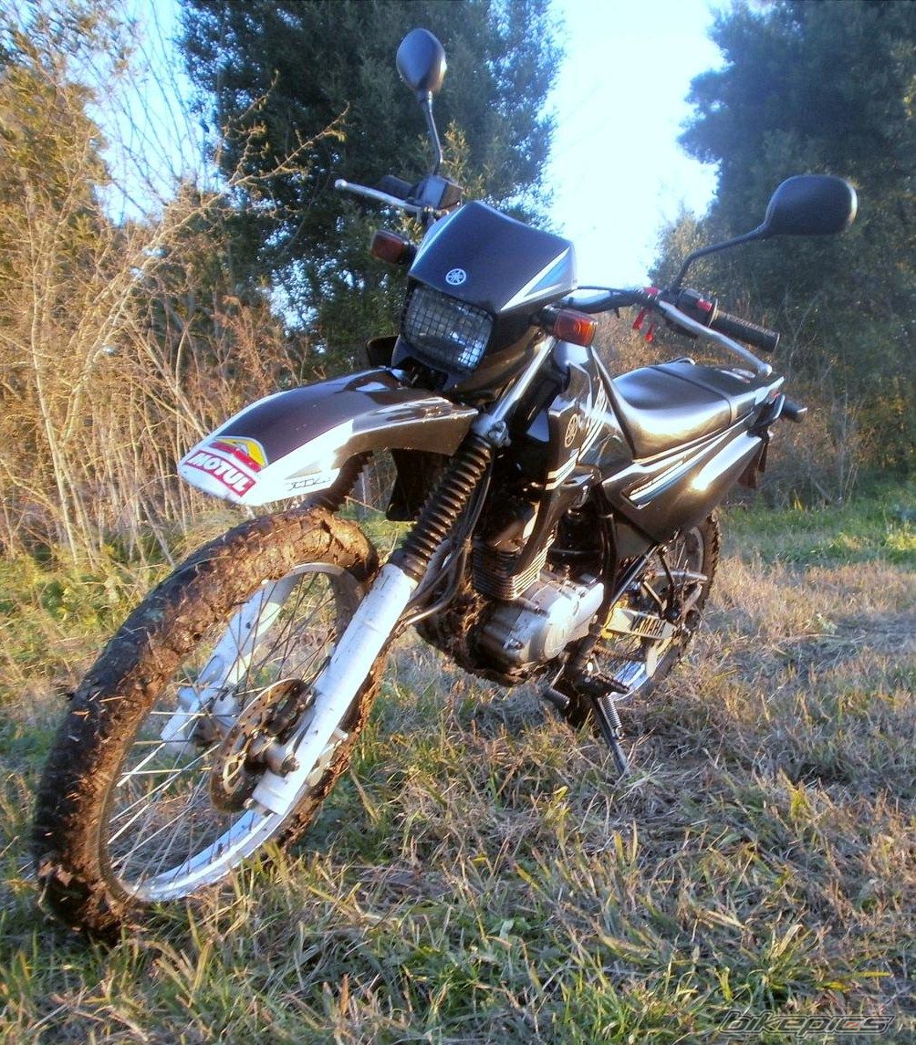Photo 2788071