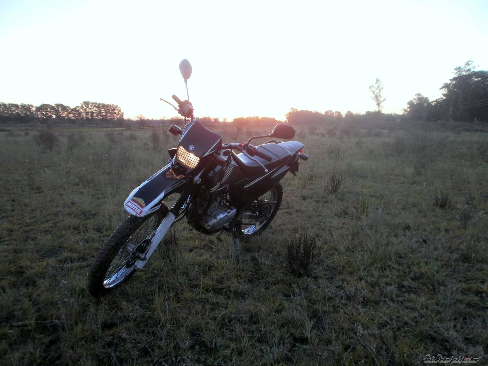 Photo 2788074