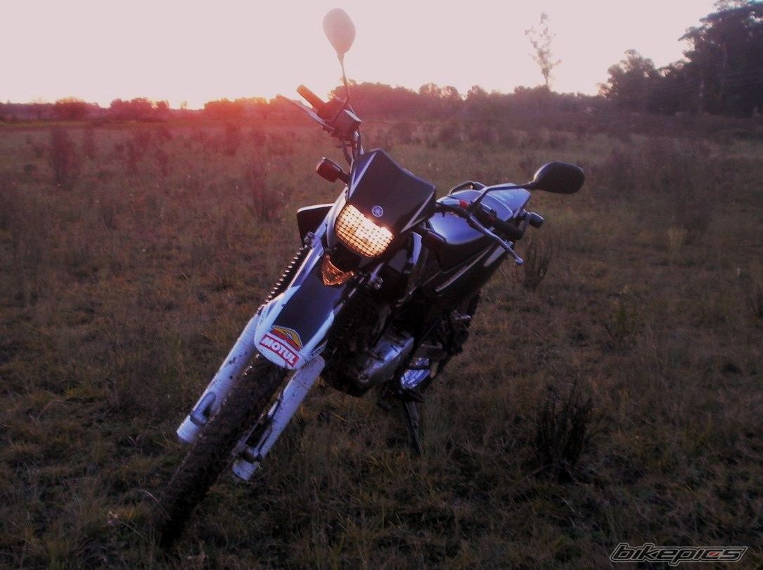 Photo 2788075
