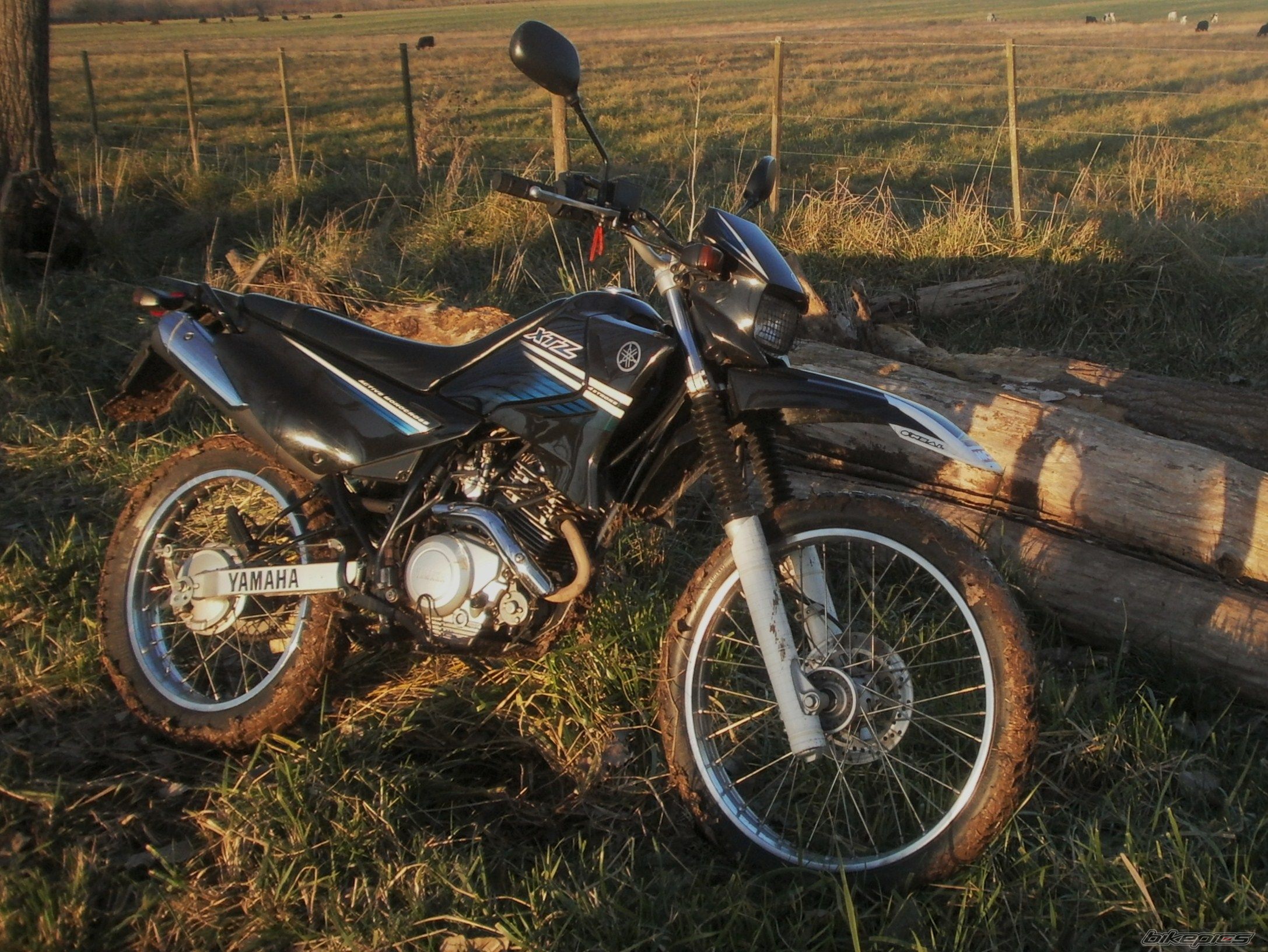 Photo 2788083