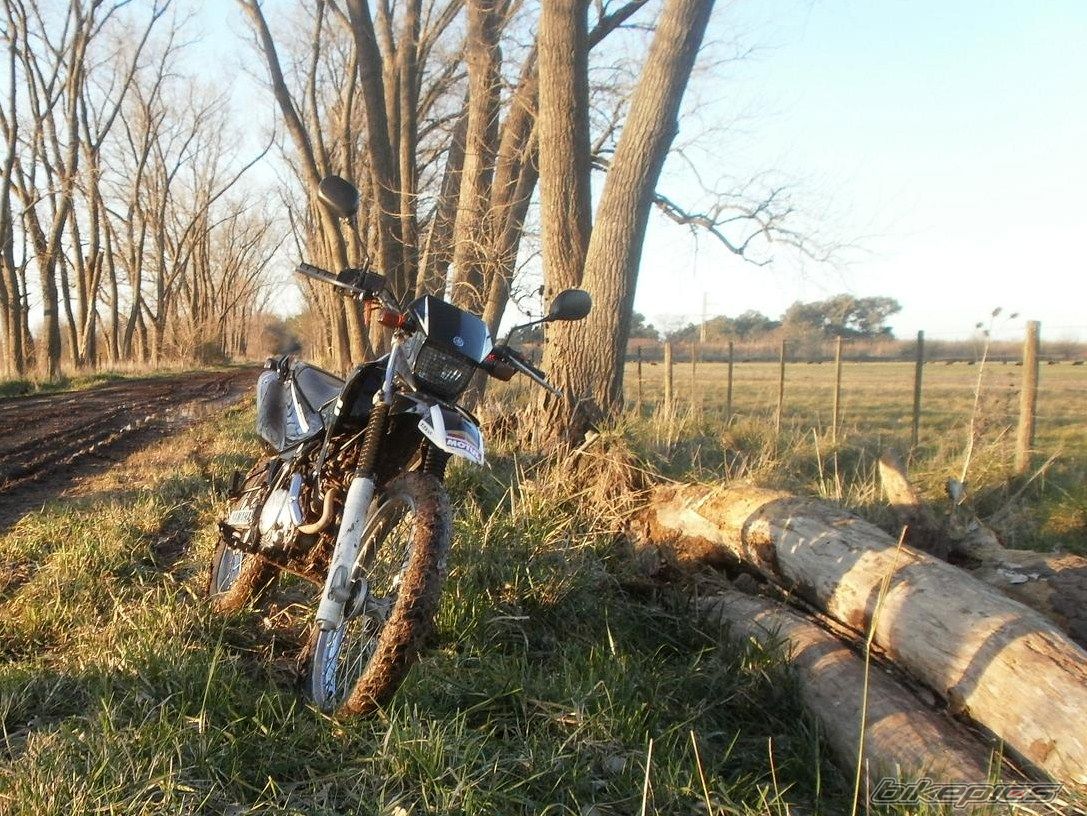 Photo 2788085