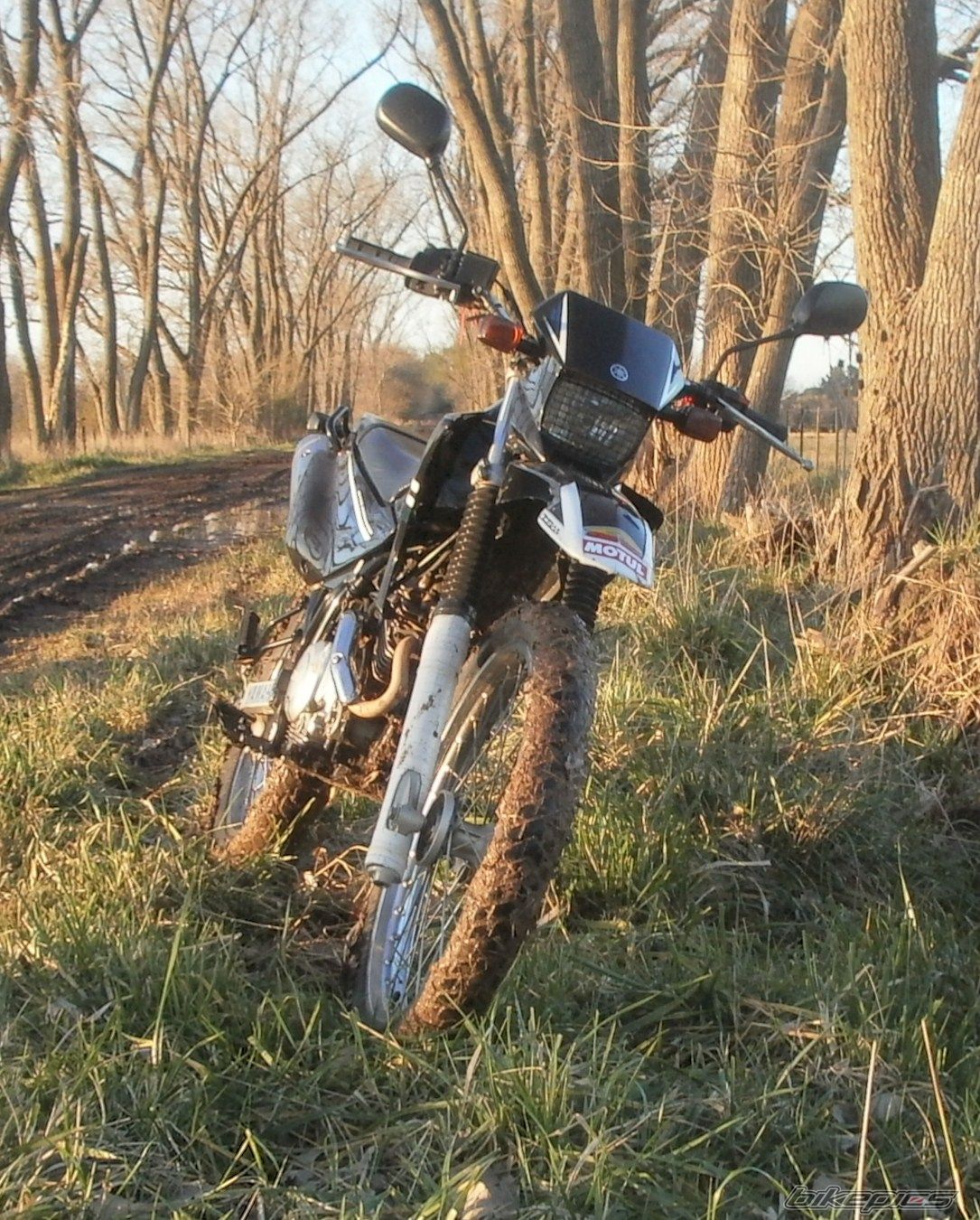 Photo 2788086