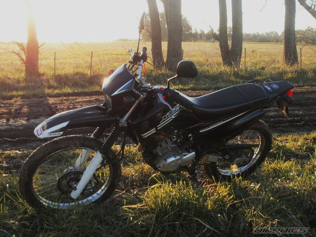 Photo 2788088
