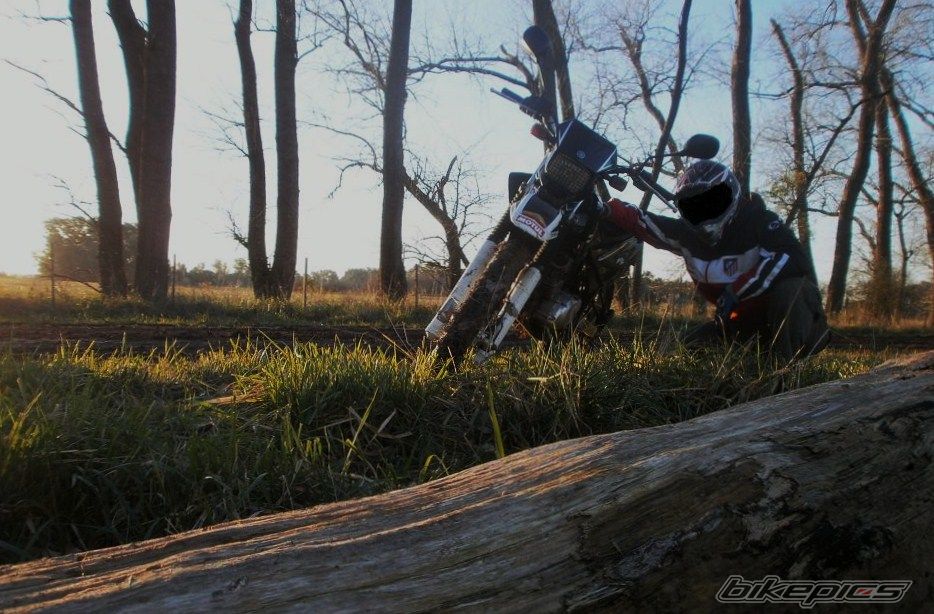 Photo 2788090