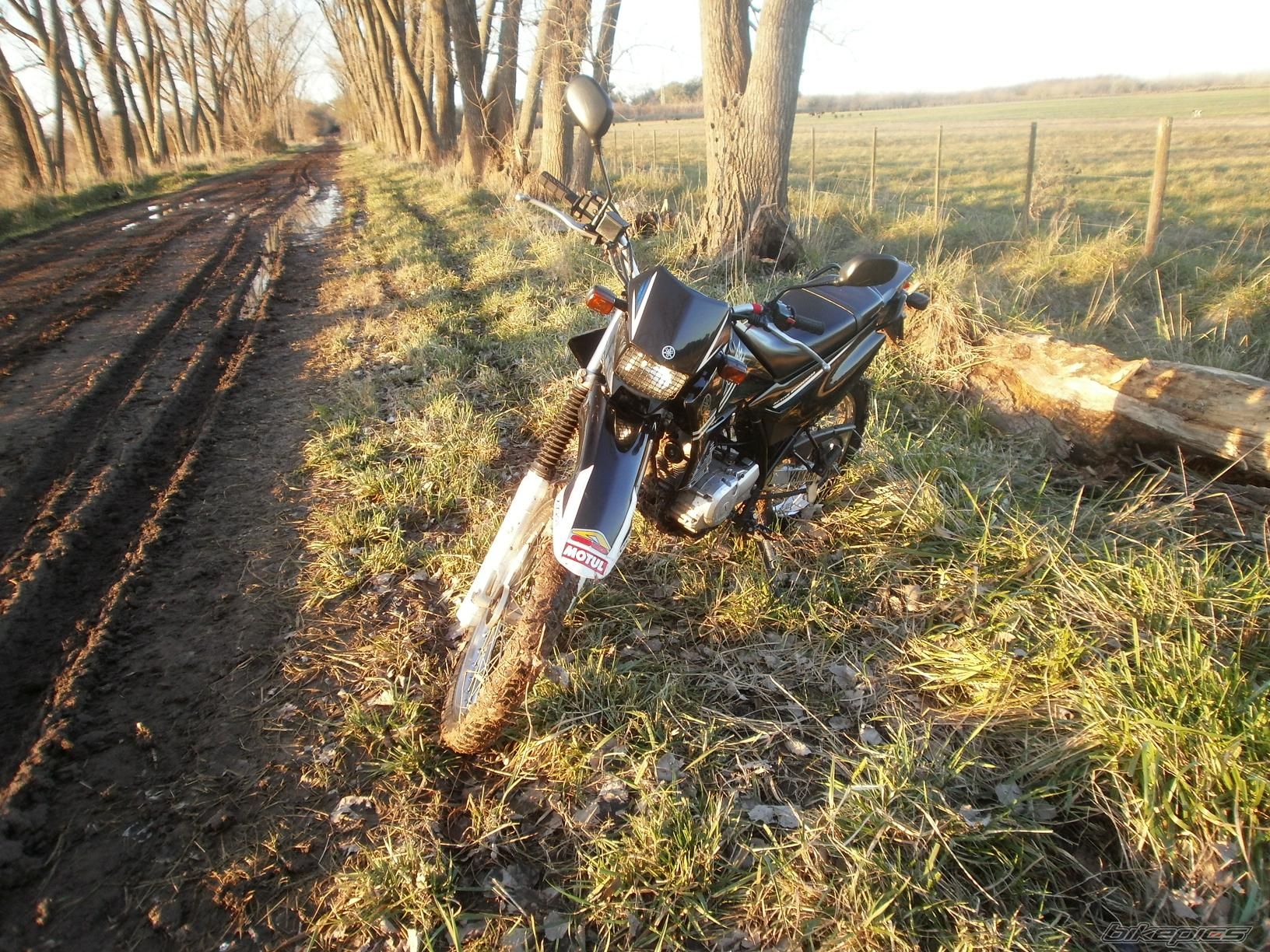Photo 2788092