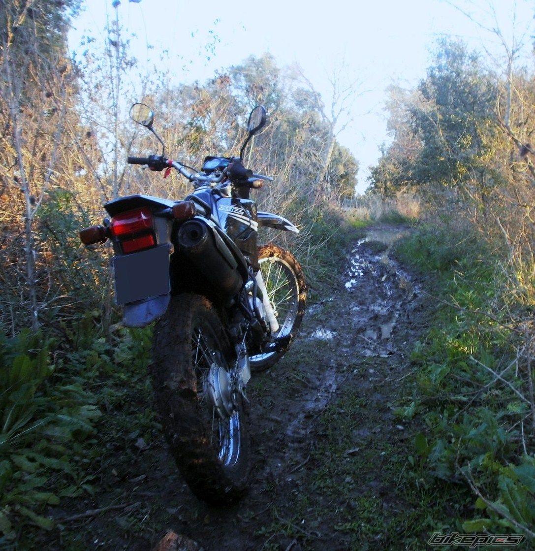Photo 2788094