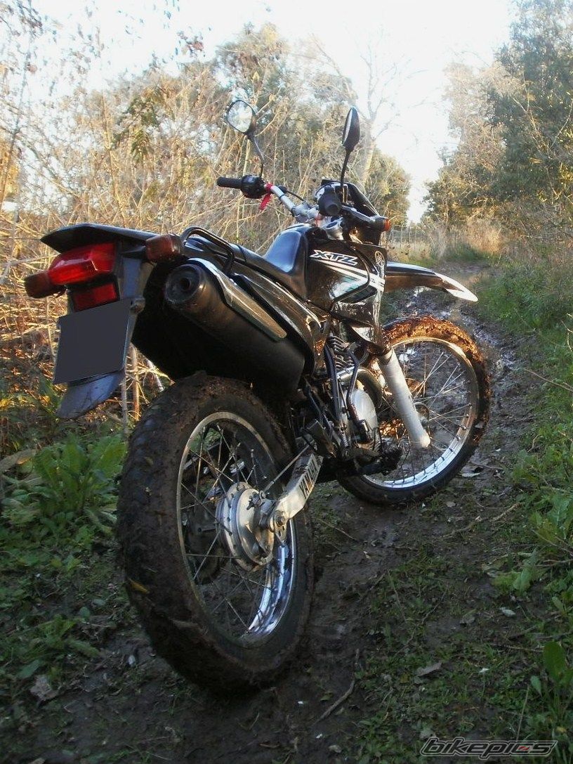 Photo 2788095