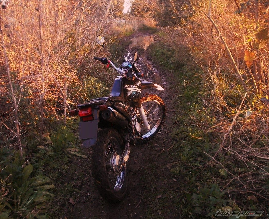 Photo 2788096