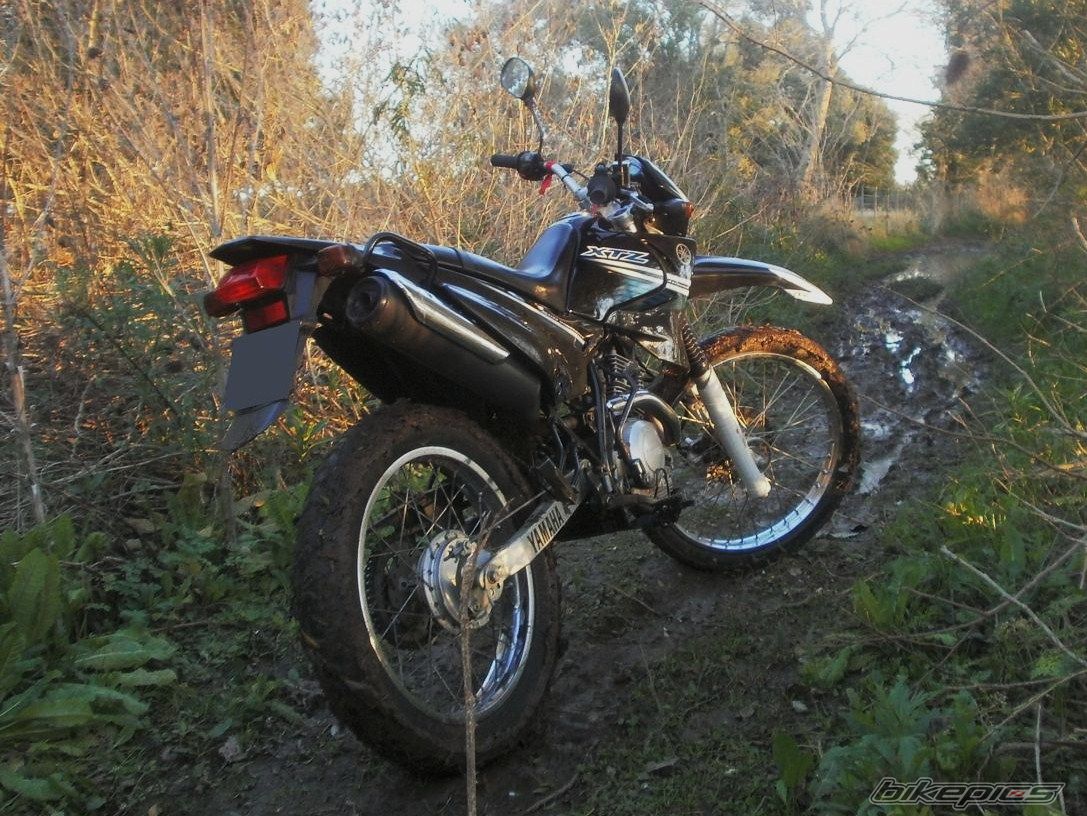 Photo 2788097