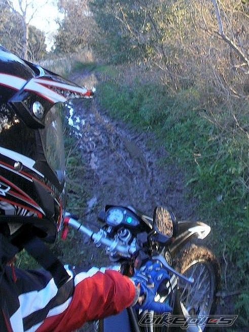 Photo 2788098