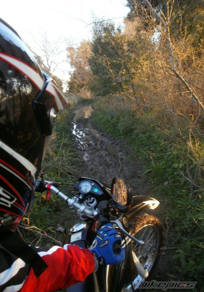 Photo 2788099