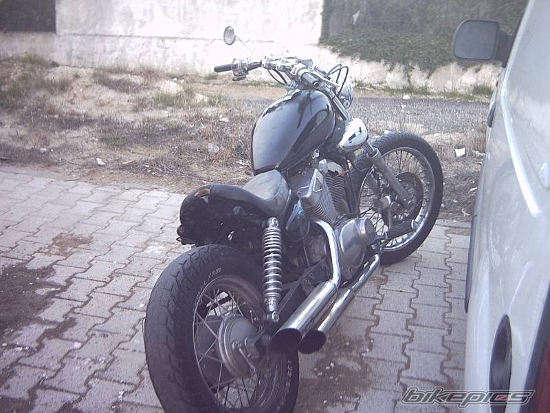 Photo 278810