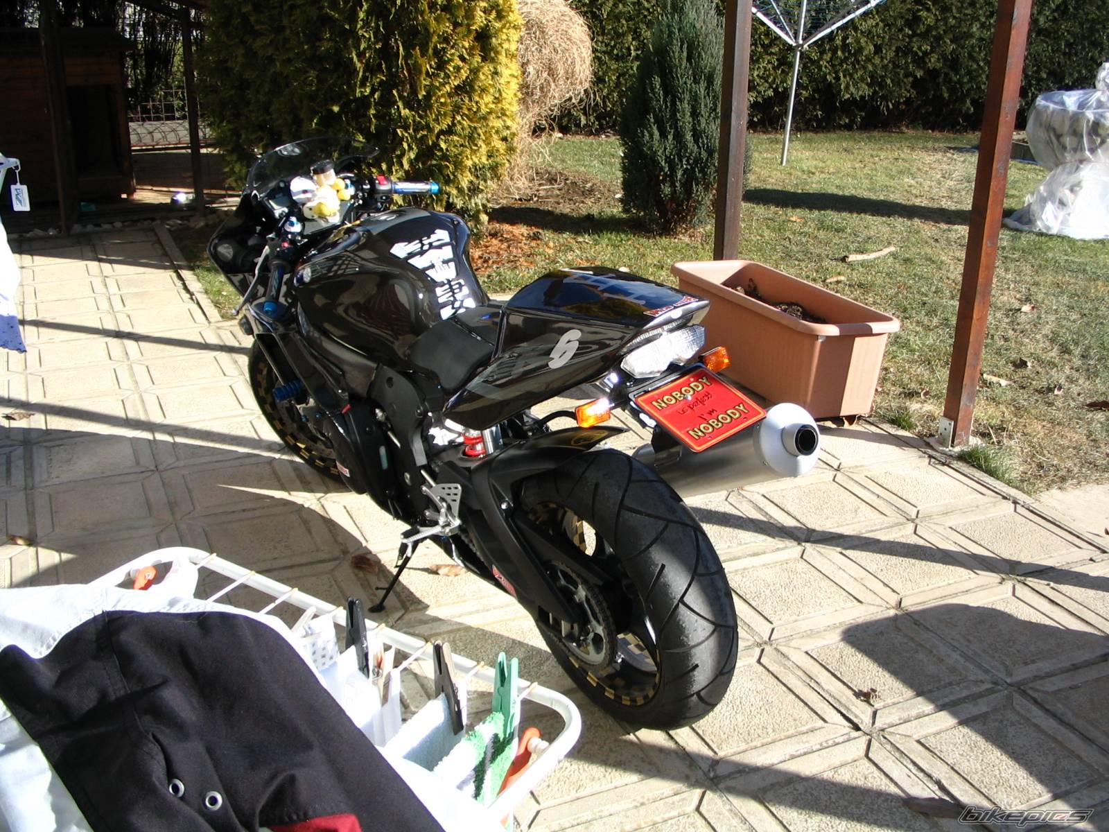 Photo 278841