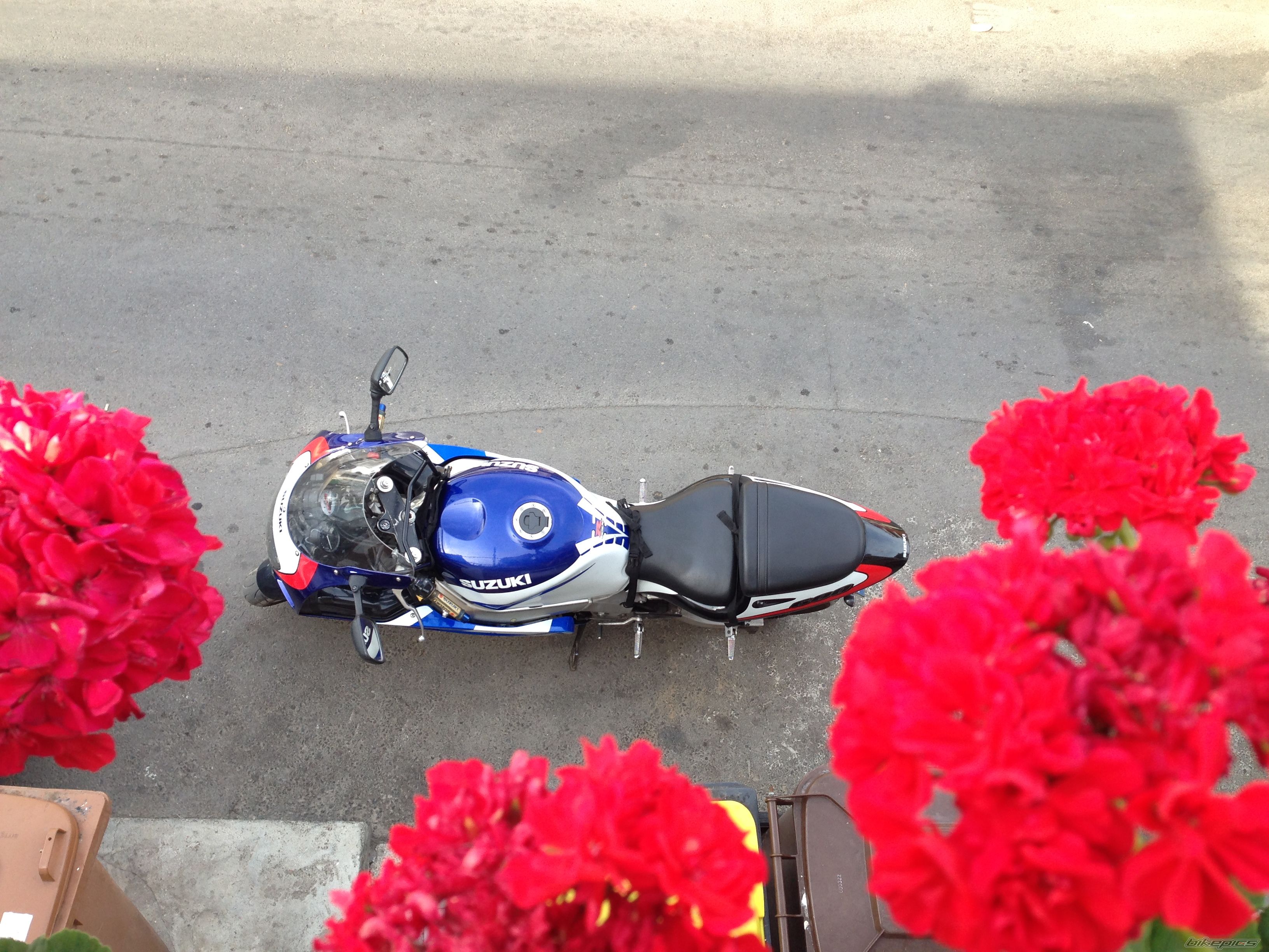 Photo 2788426