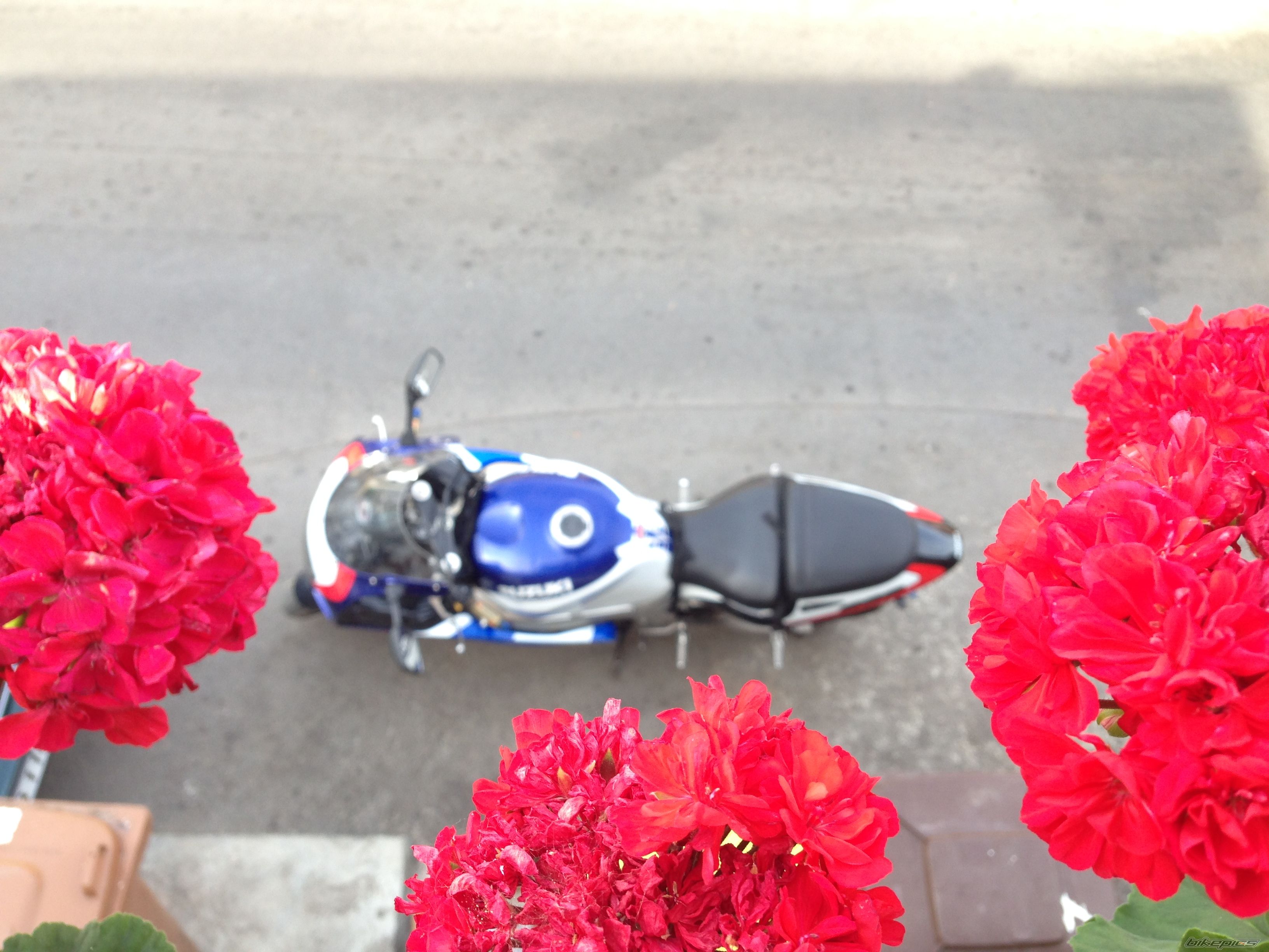 Photo 2788427