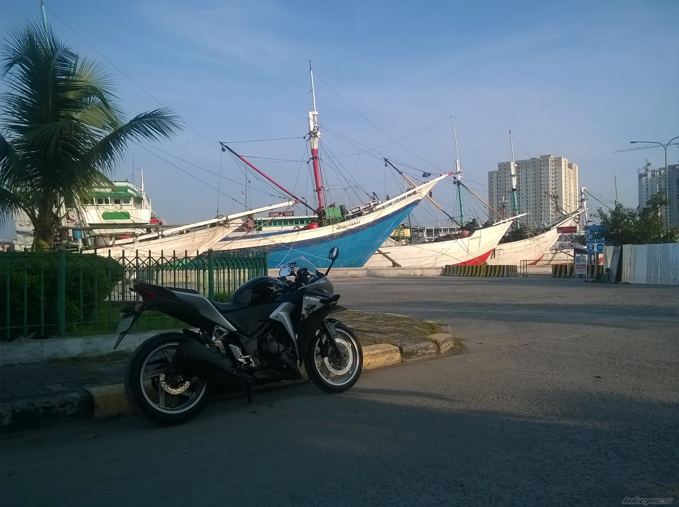 Photo 2788482