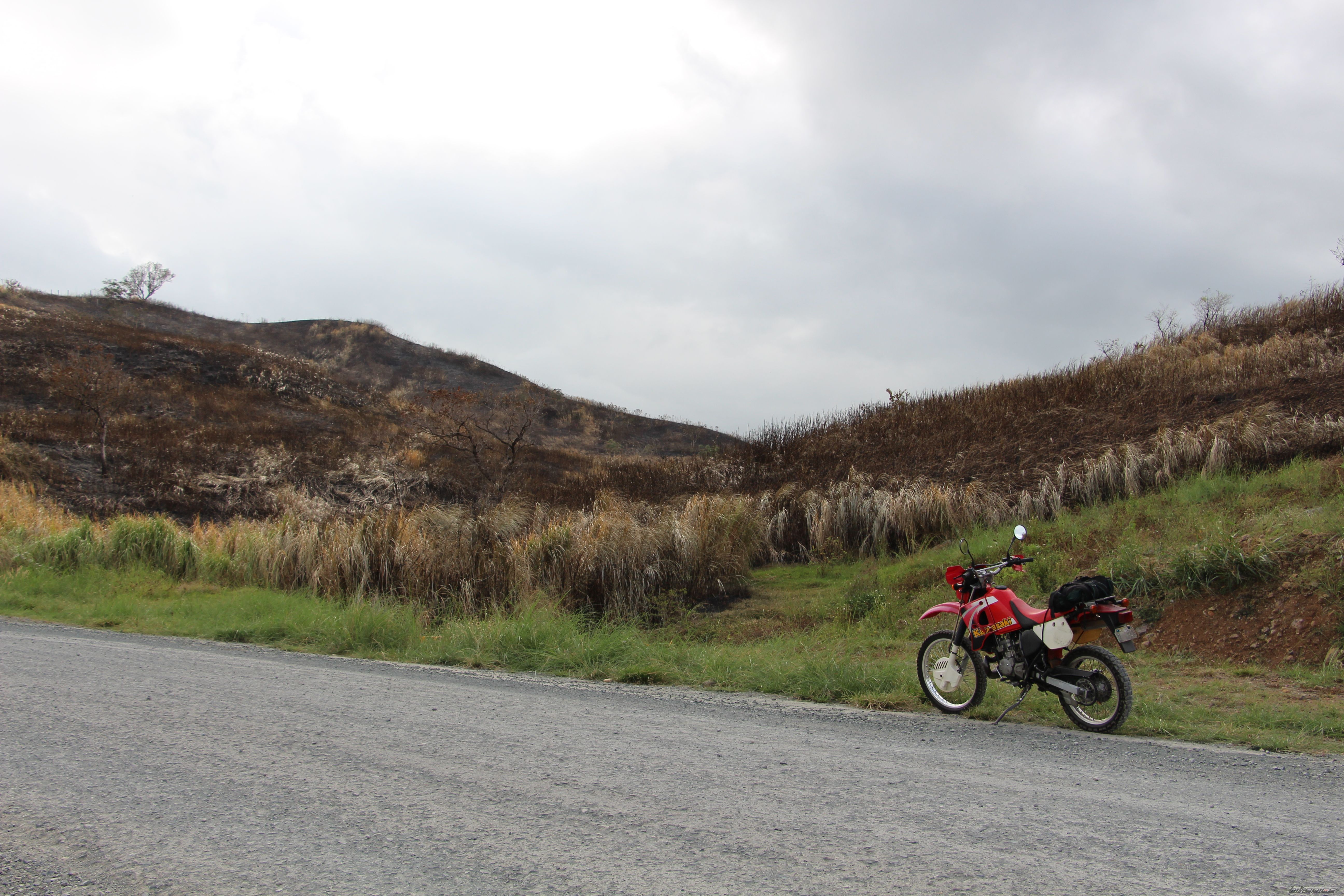Photo 2788574
