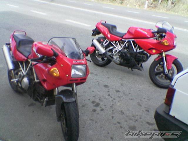 Photo 278859