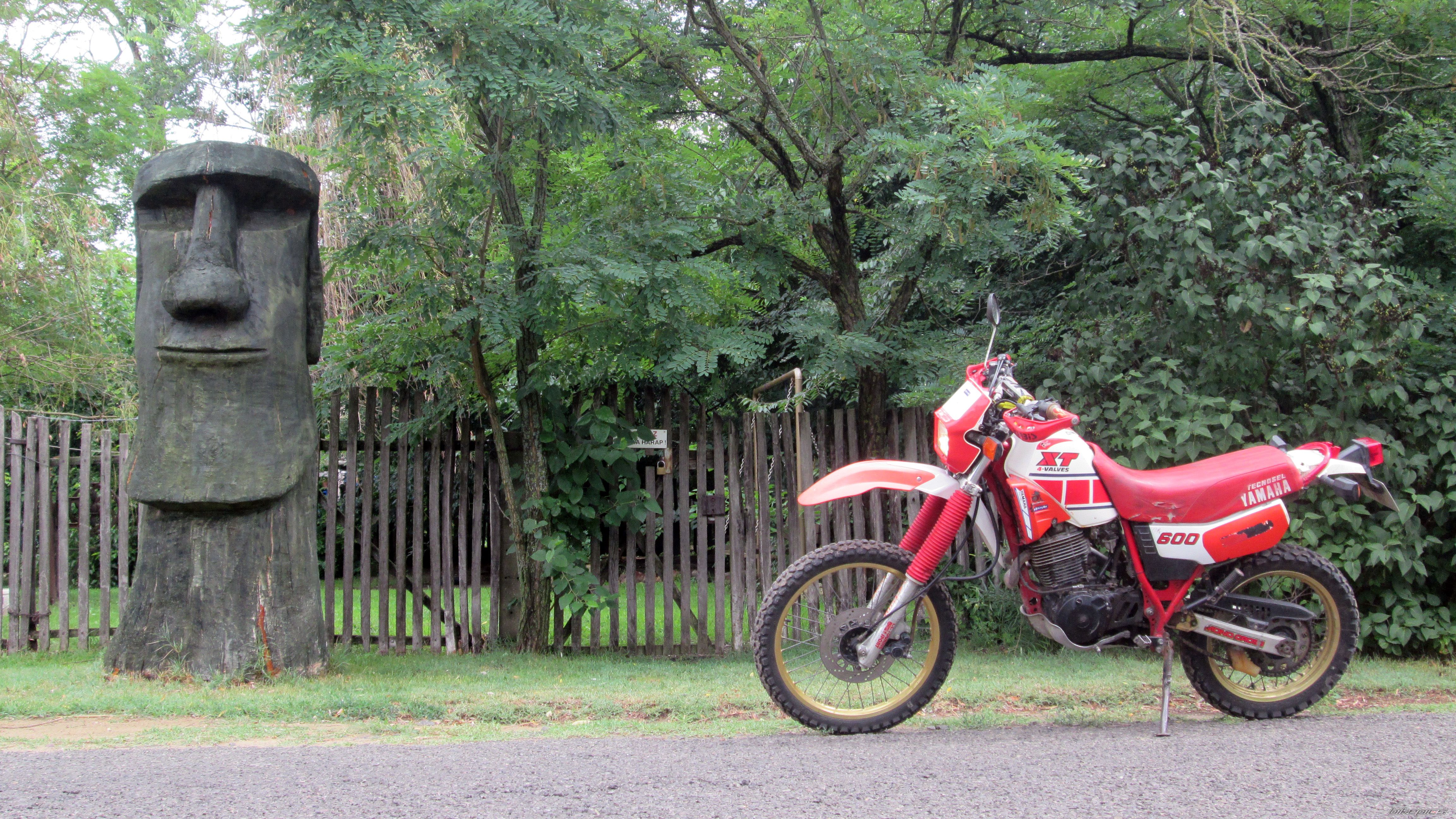 Photo 2788605
