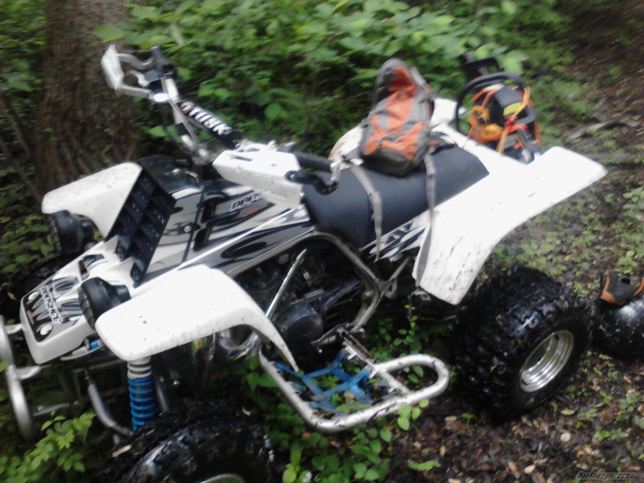 Photo 2788662