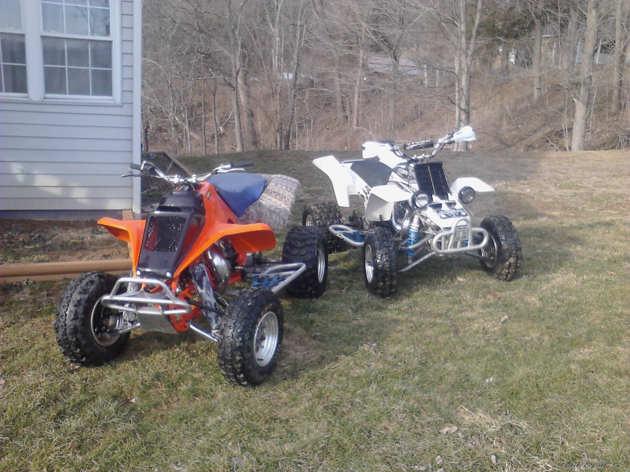 Photo 2788673
