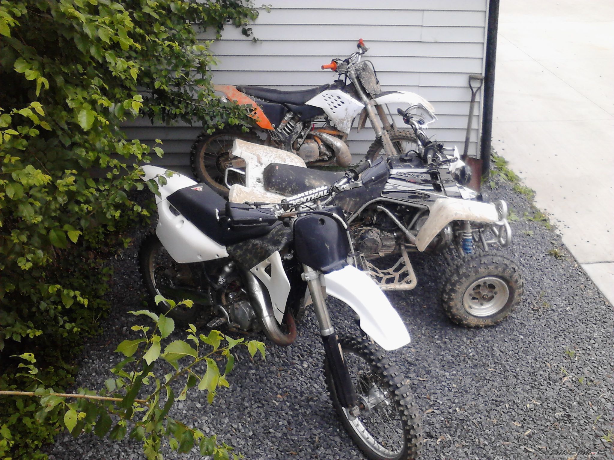 Photo 2788692