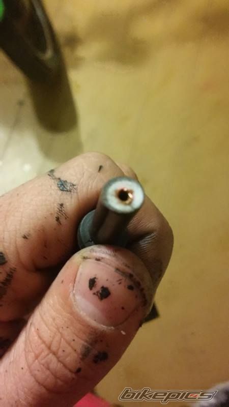 Photo 2788767