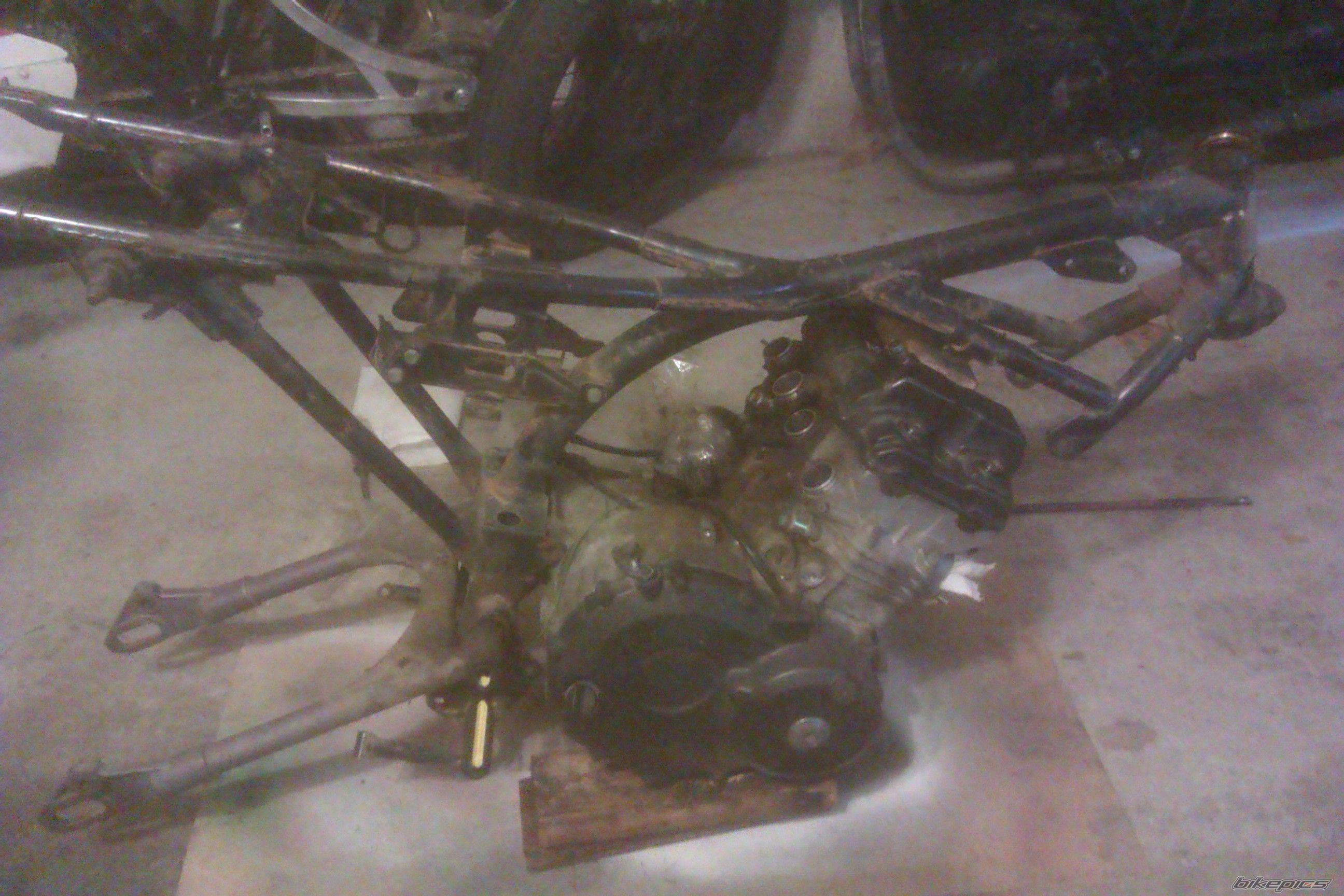 Photo 2788815