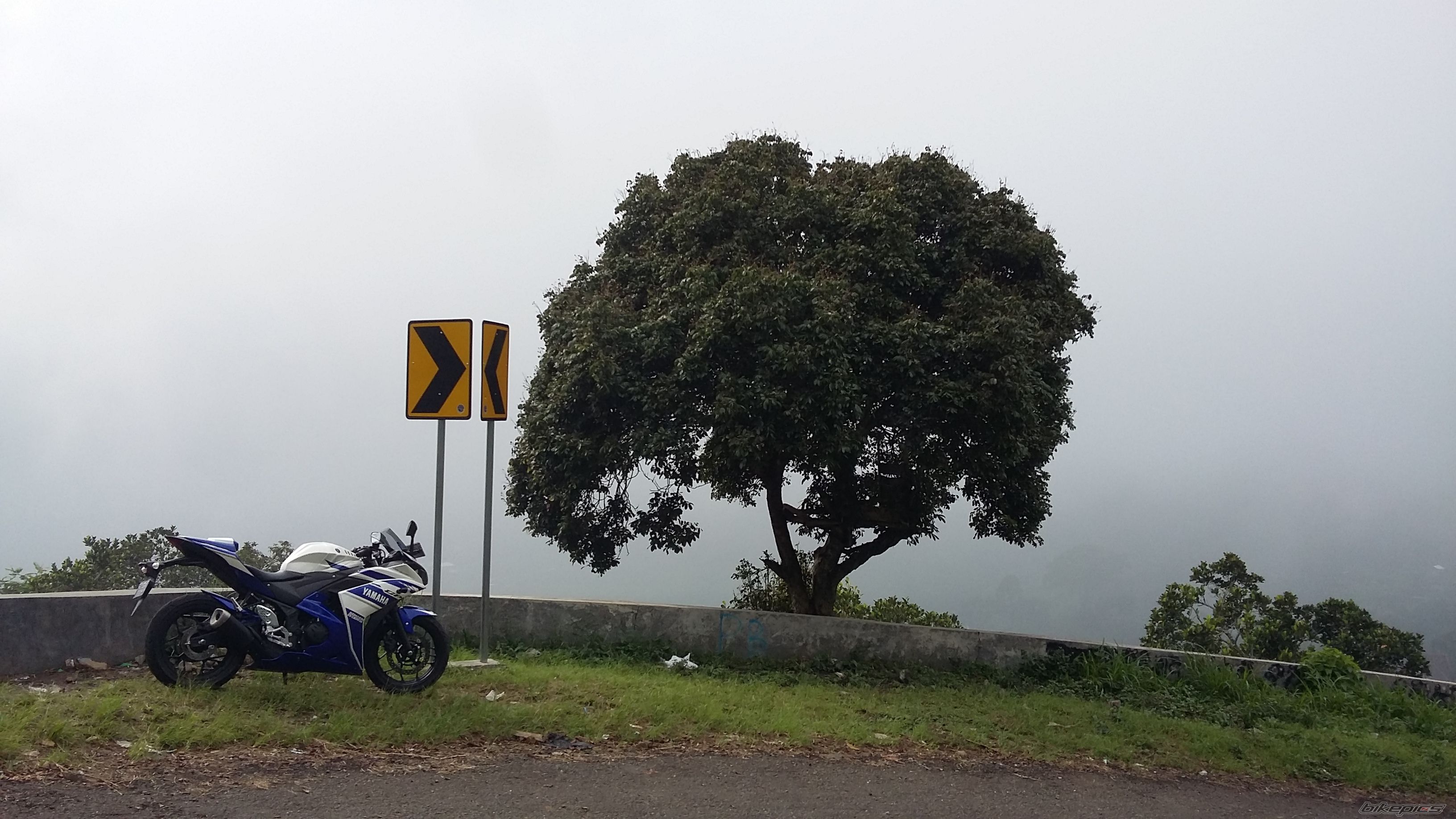 Photo 2788853