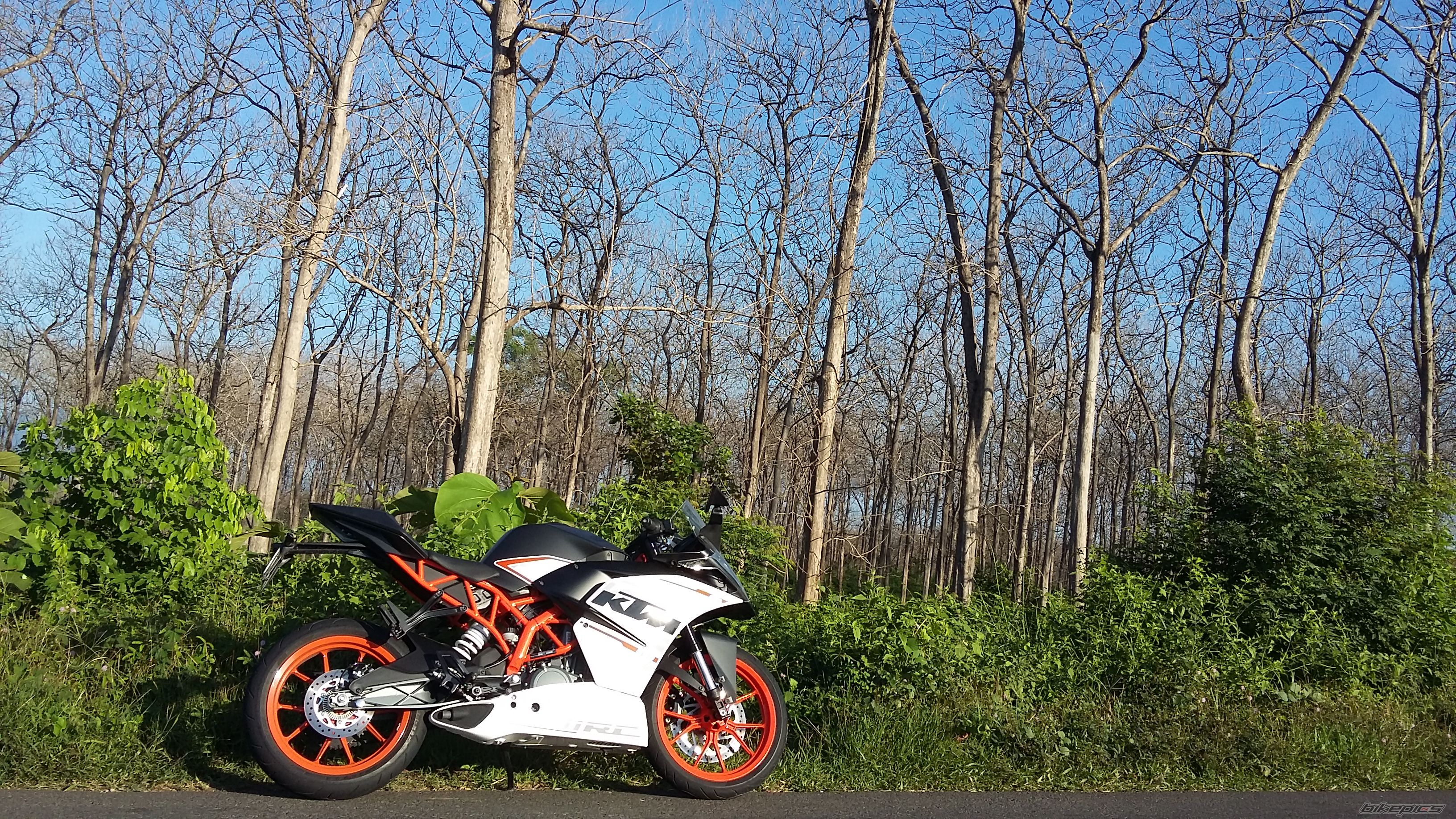 Photo 2788855