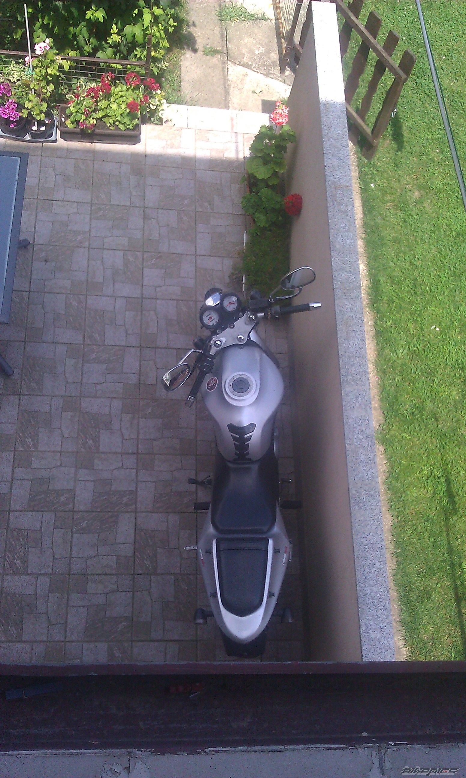 Photo 2788870