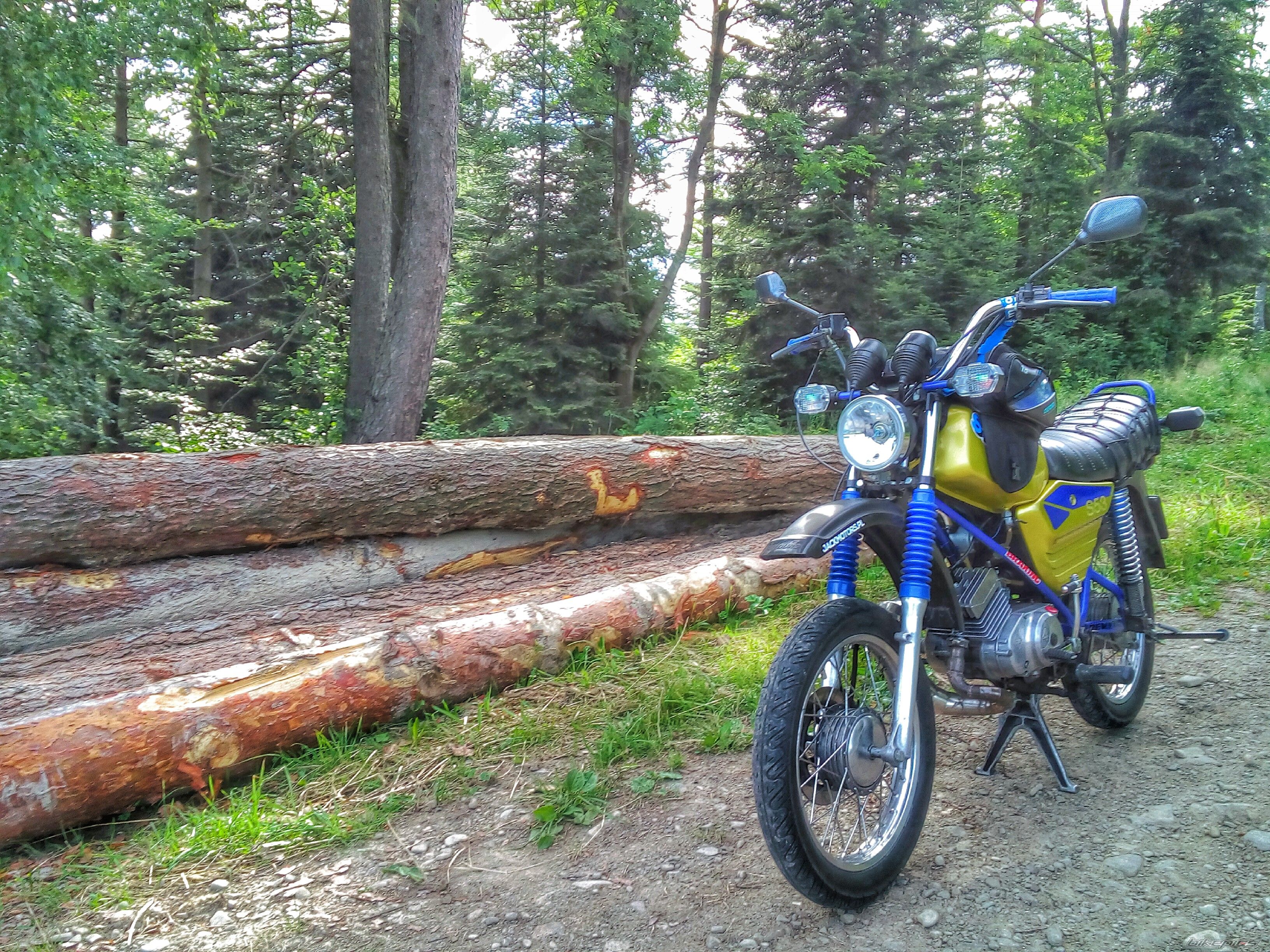 Photo 2788927