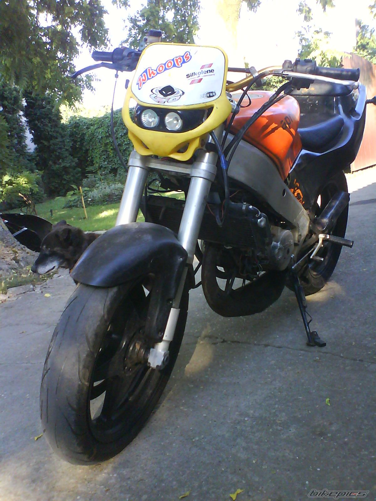 Photo 2788955