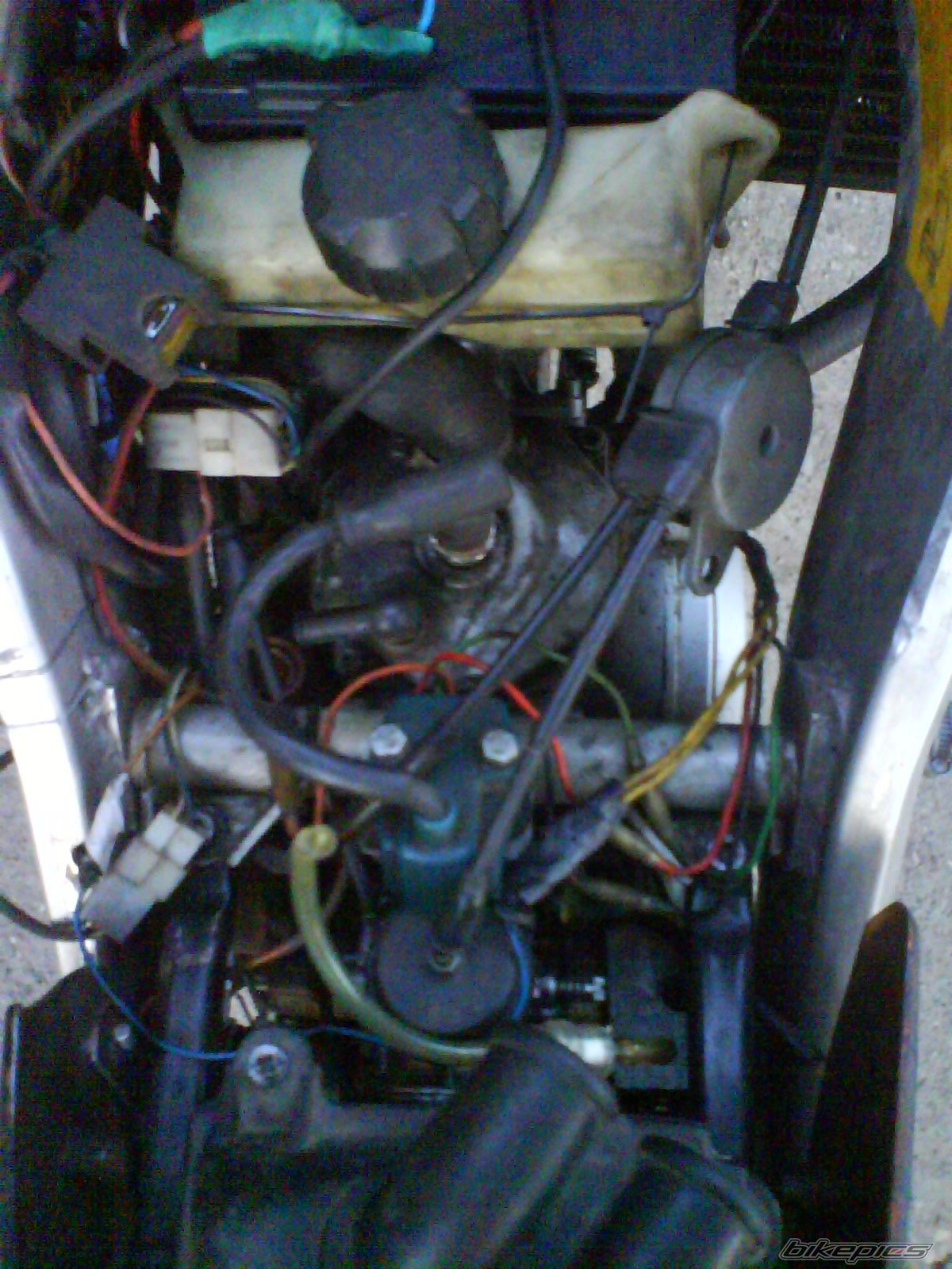 Photo 2788967
