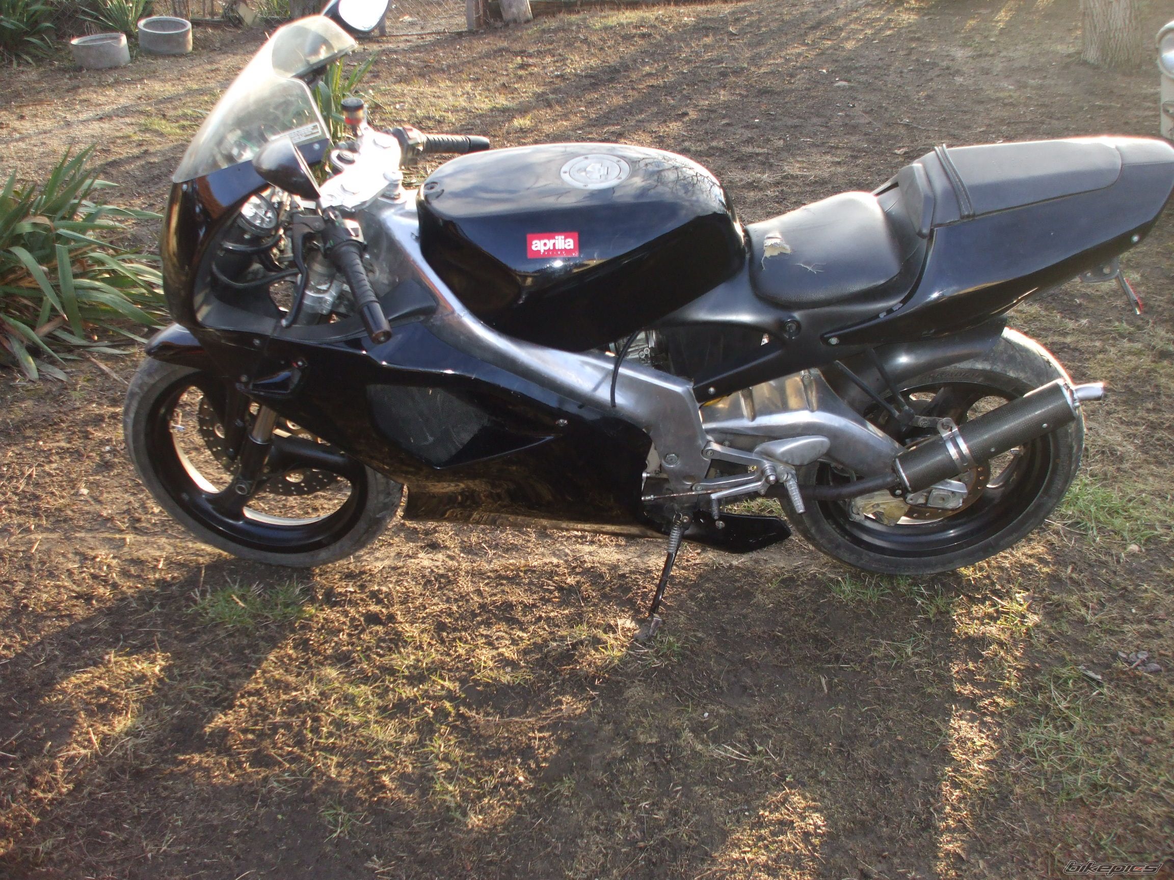 Photo 2788969