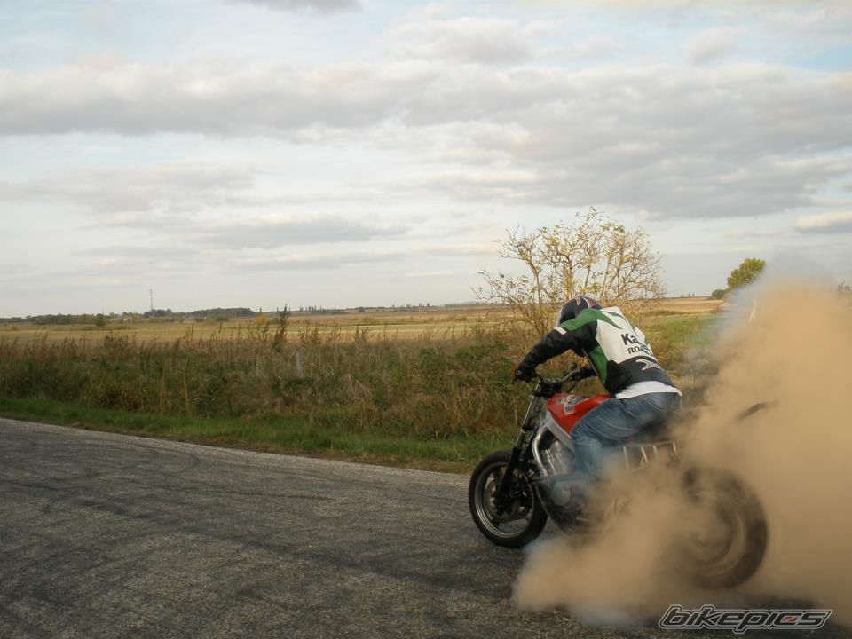 Photo 2788980