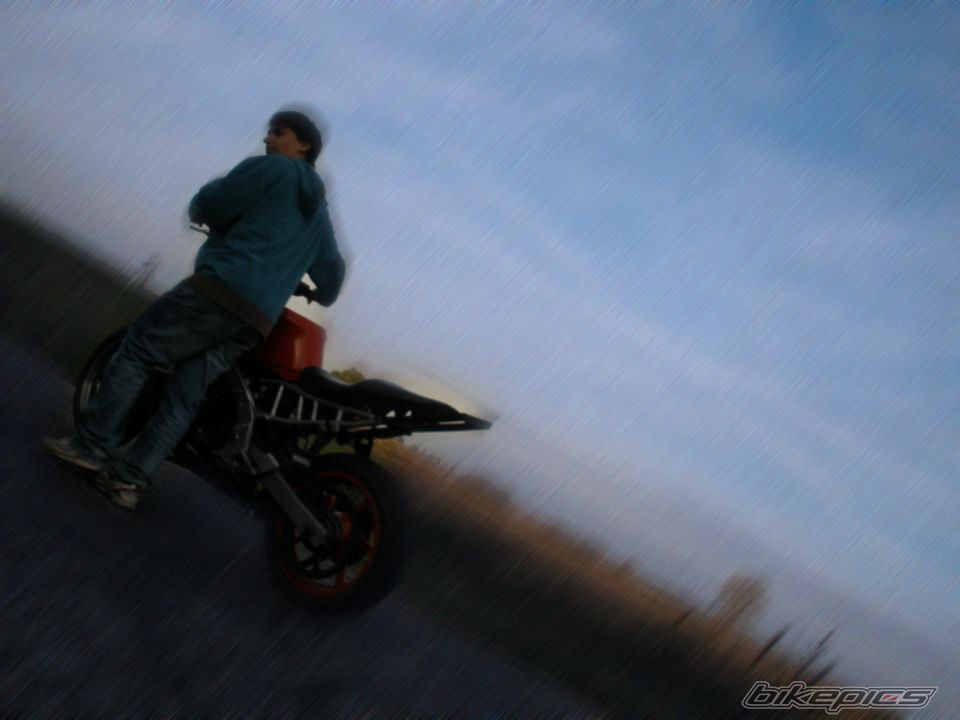 Photo 2788985