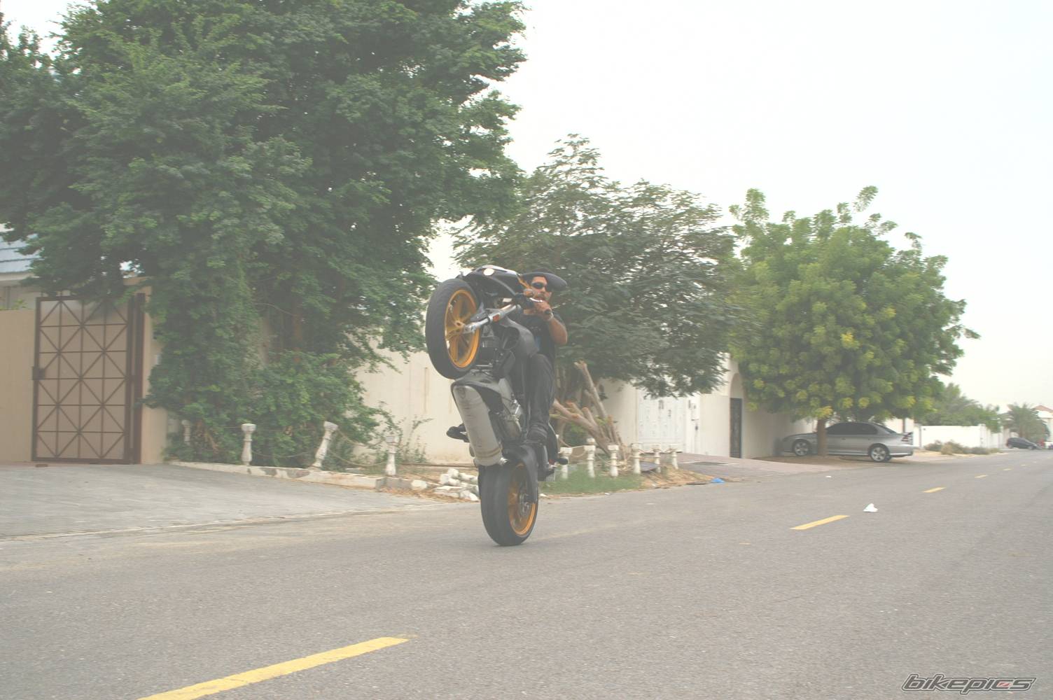 Photo 278906