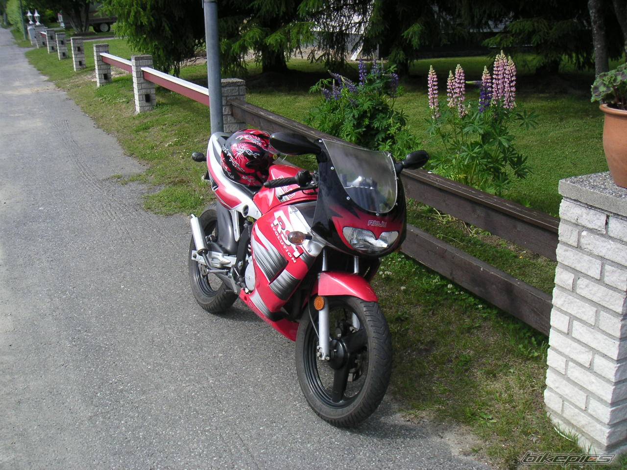 Photo 278912
