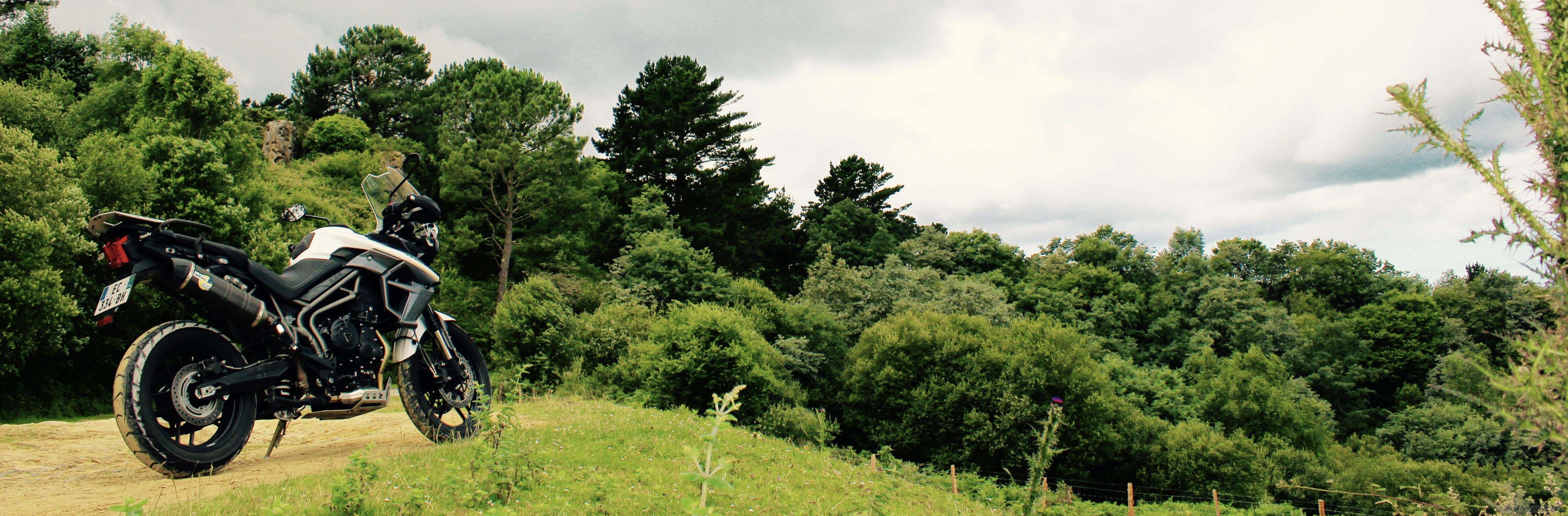 Photo 2789137