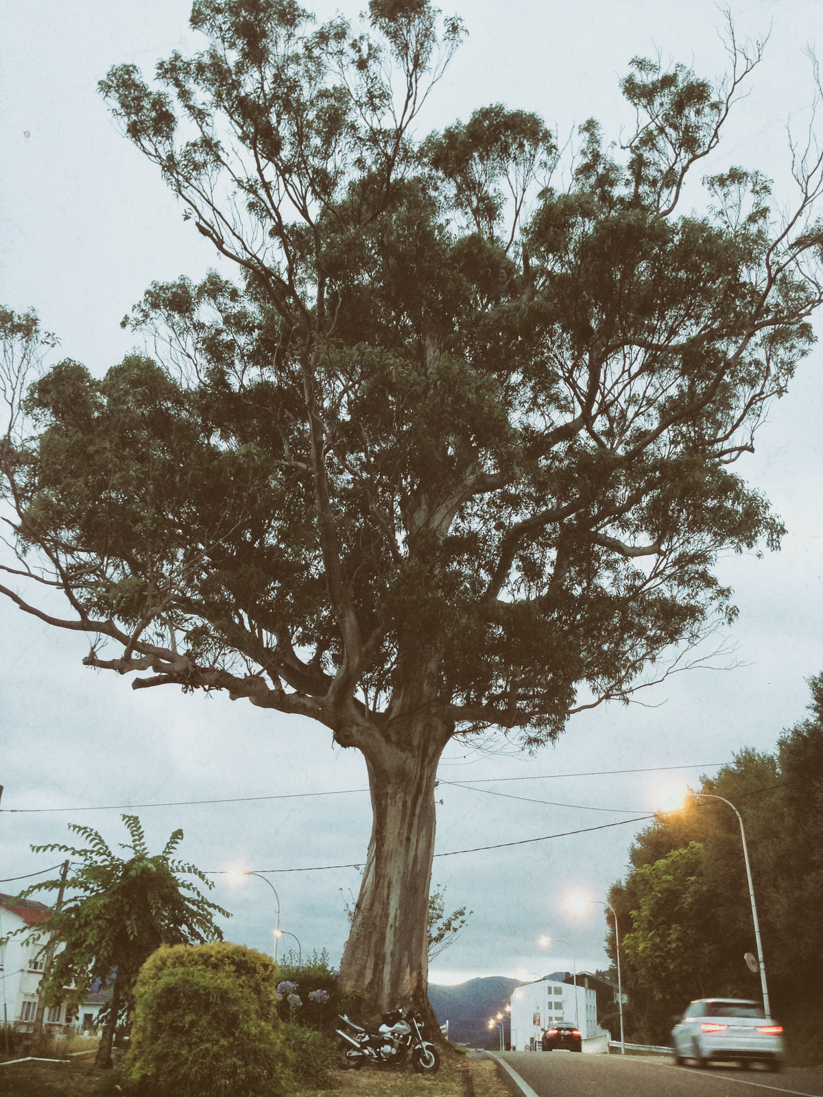 Photo 2789261