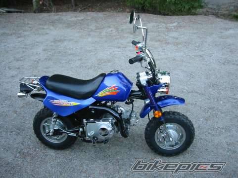 Photo 278930