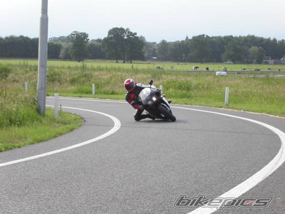 Photo 278937