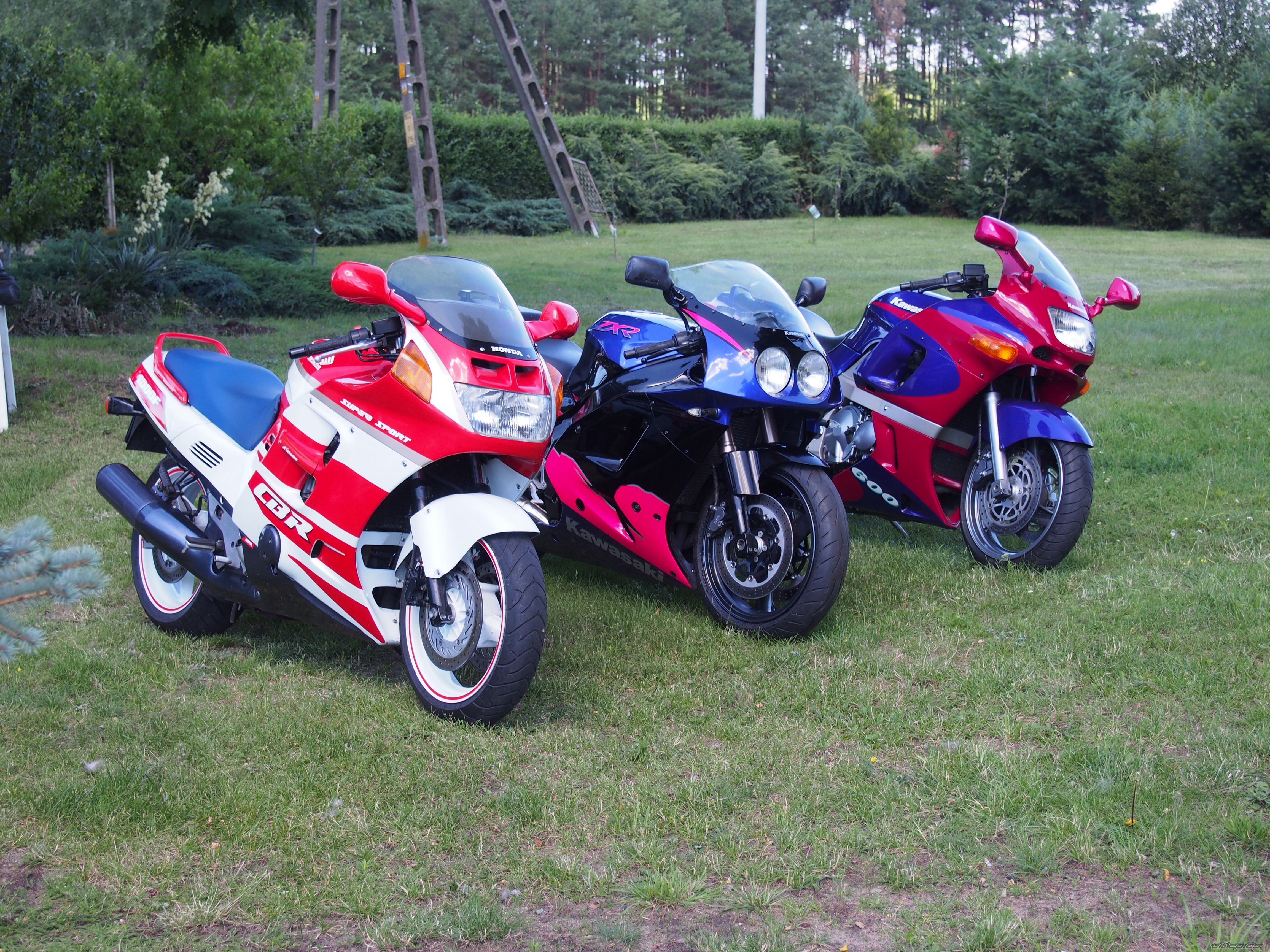 Photo 2789372