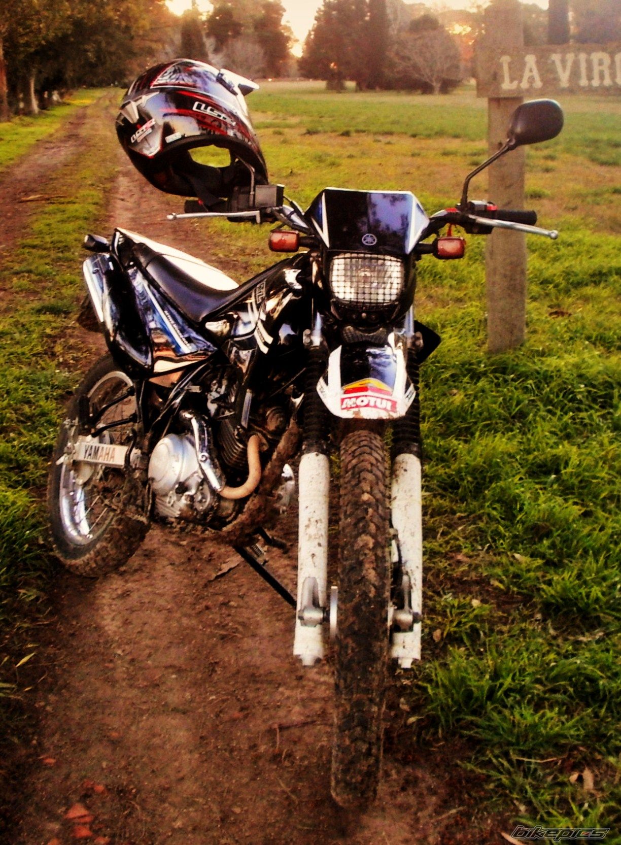 Photo 2789381