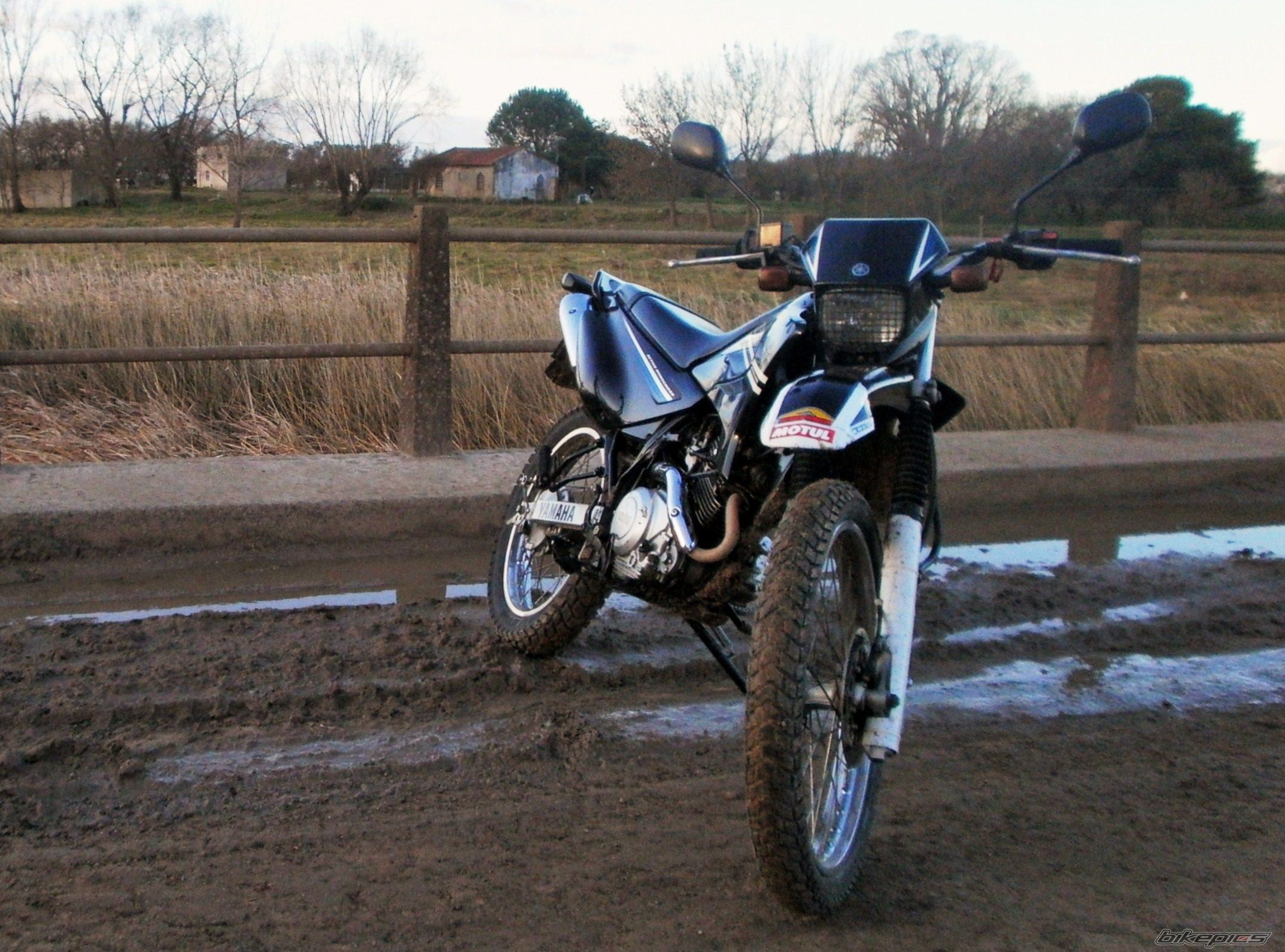 Photo 2789383