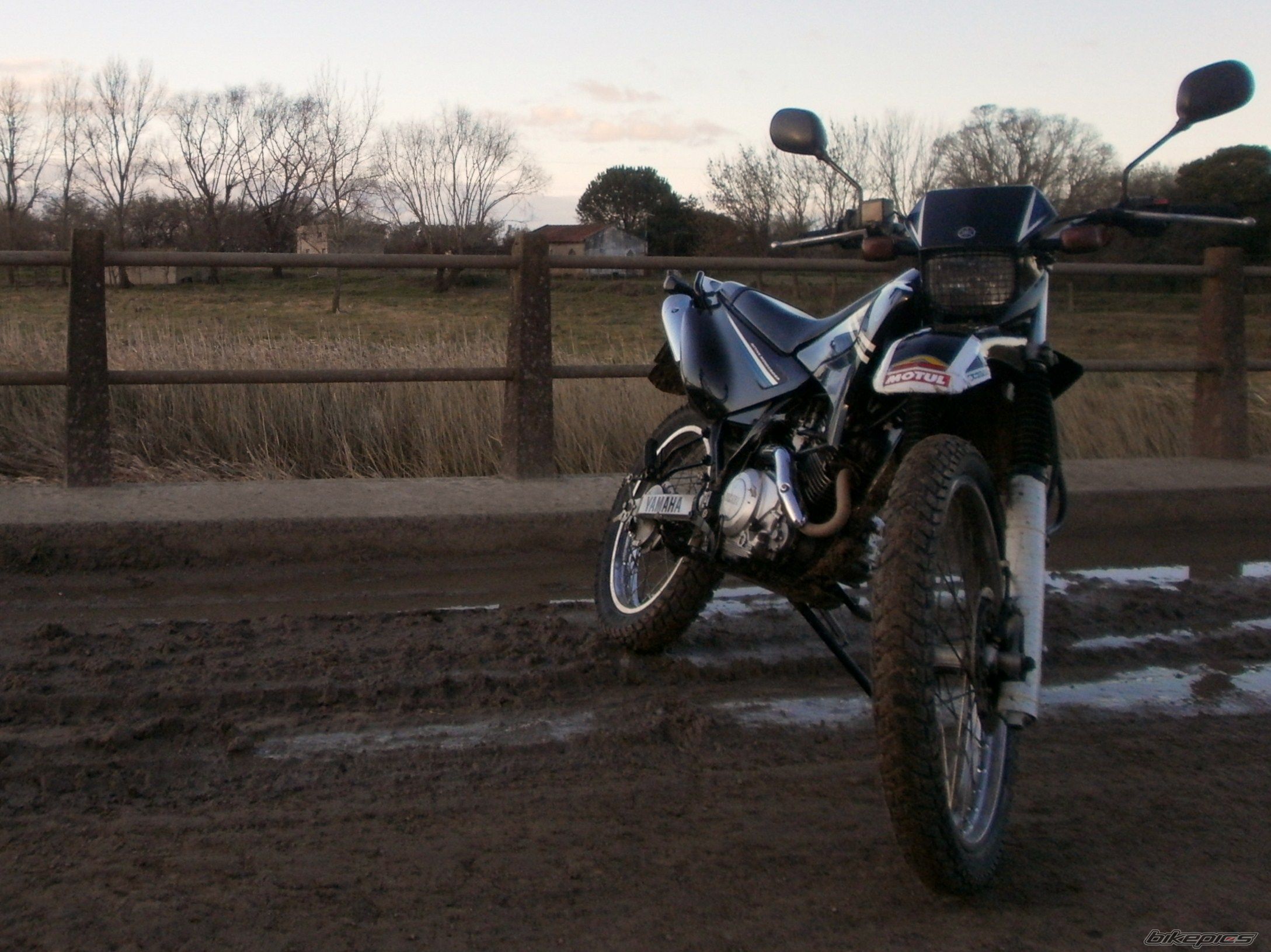 Photo 2789384