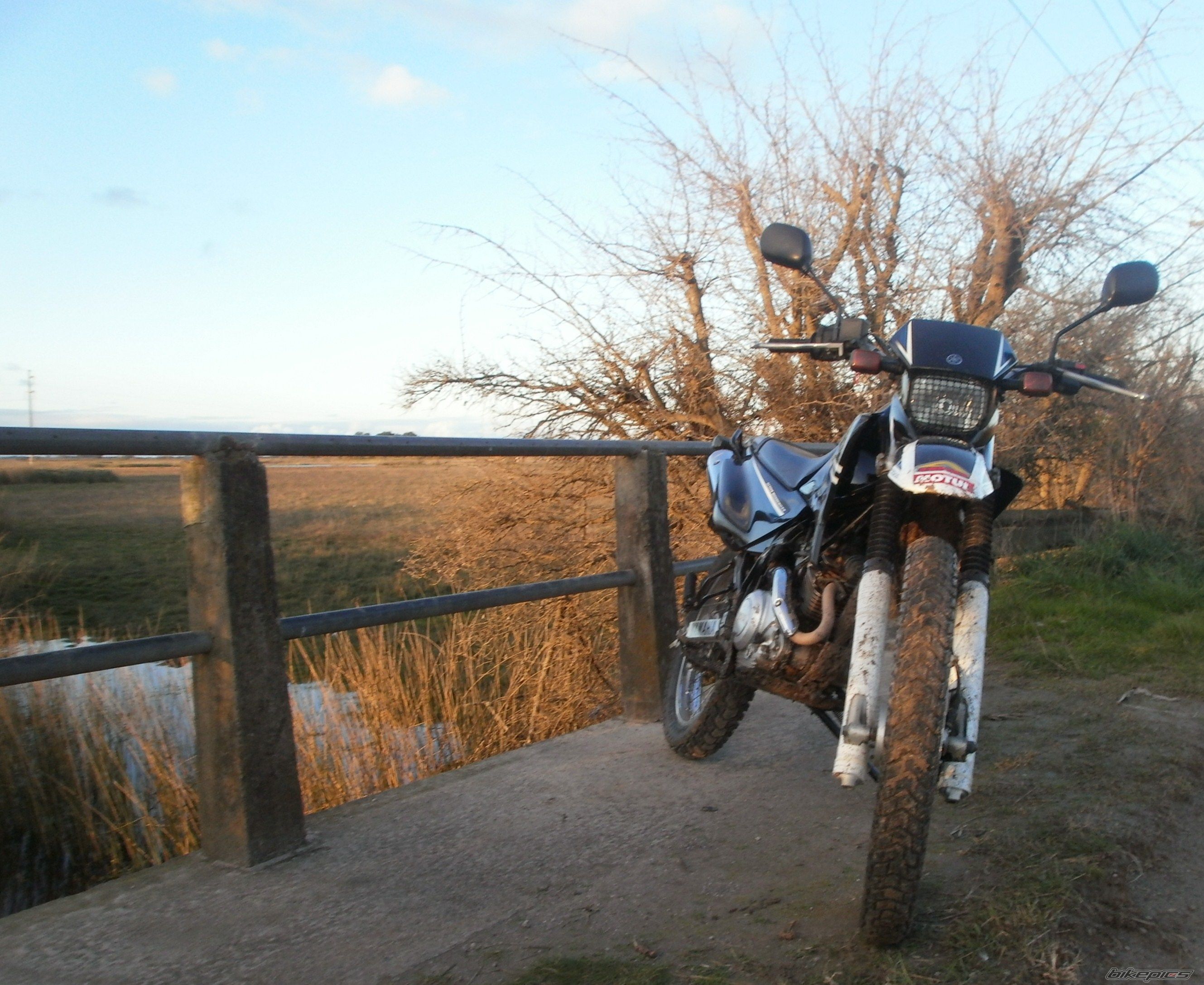 Photo 2789386